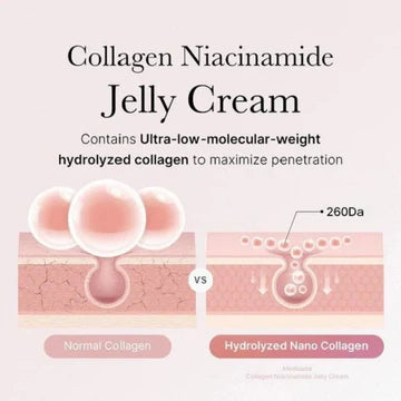 Advertisement for Collagen Niacinamide Jelly Cream with text and diagram on a white background
