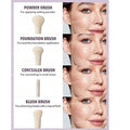 Close-up of four SHEGLAM Pro Core brushes with labels: powder brush for setting powder, foundation brush for liquid application, concealer brush for spot coverage, and blush brush for cheek application, showing their distinct head shapes