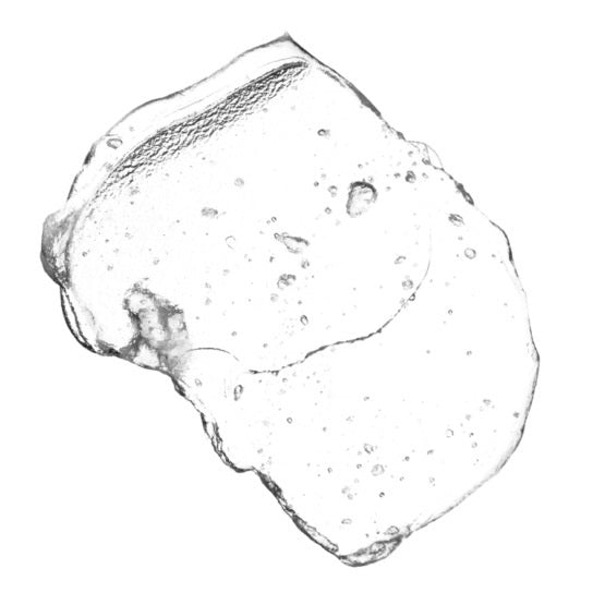 ELF Cosmetics - Mineral Infused Primer - Clear - 14ml