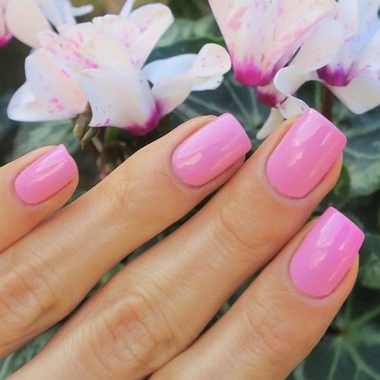 786 COSMETICS – Halal Nail Polish - Nizwa