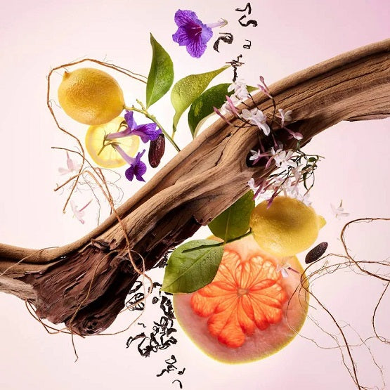 RARE BEAUTY - Mini Find Comfort Lotion & Fragrance Set