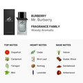 Buy Mr Burberry Men Edt 100Ml in Pakistan