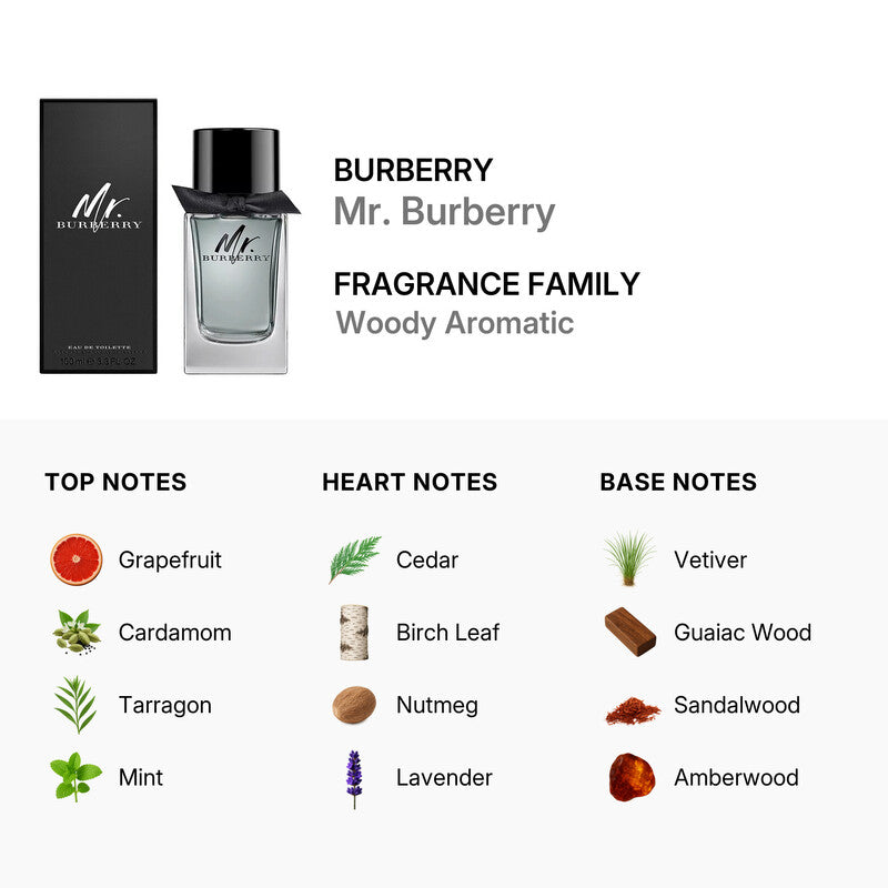 Buy Mr Burberry Men Edt 100Ml in Pakistan
