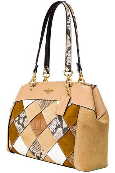 Buy Brown Coach Leather Texture Bag in Pakistan