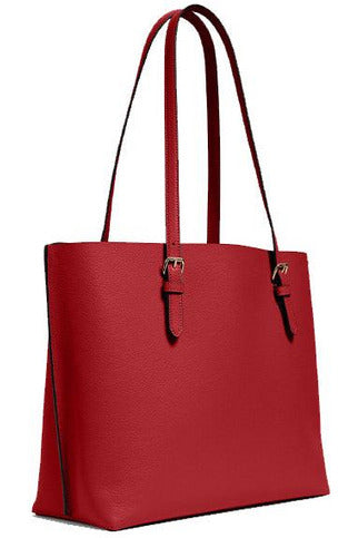 Buy Coach 1671 Mollie Tote Bag in Pakistan