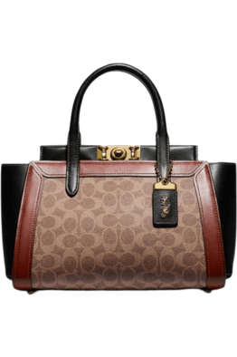 Buy Coach Handbag 78488 in Pakistan