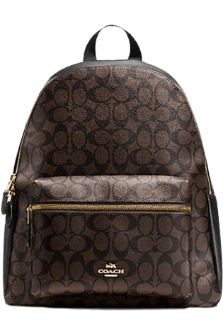 Buy Coach Logo Backpack 38301 in Pakistan