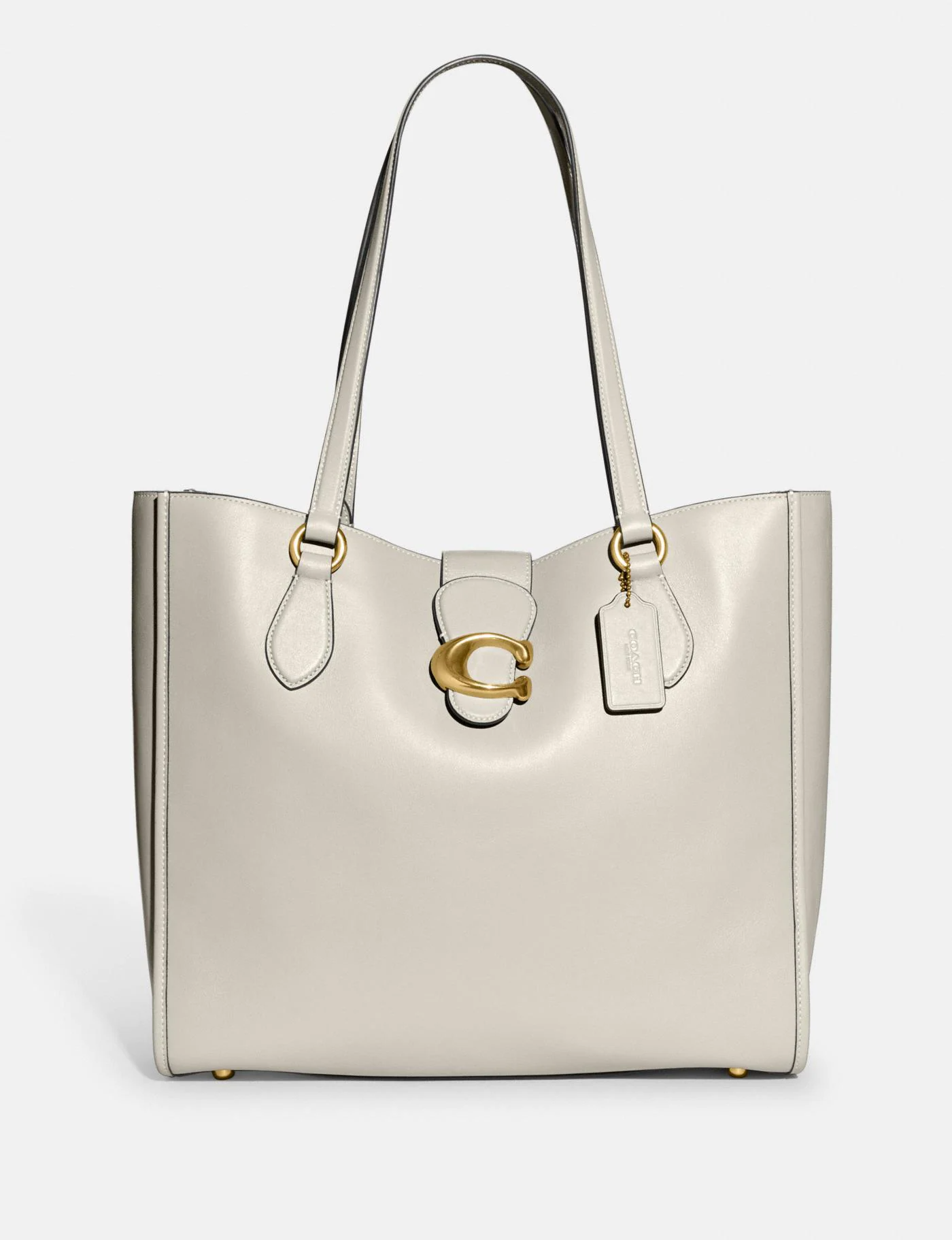 Buy Coach Theo Tote Bag Large in Pakistan