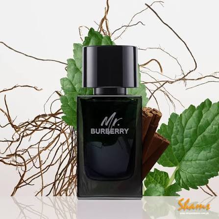 Buy Mr Burberry Men EDP 100Ml in Pakistan