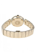 Buy Emporio Armani Women’s Analog Stainless Steel Mother of Pearl Dial 32mm Watch AR11198 in Pakistan