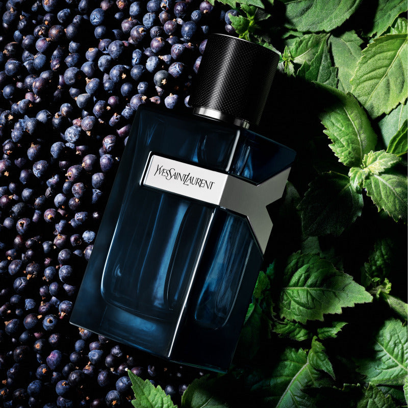 Buy Yves Saint Laurent Y Intense Men Edp 100Ml in Pakistan